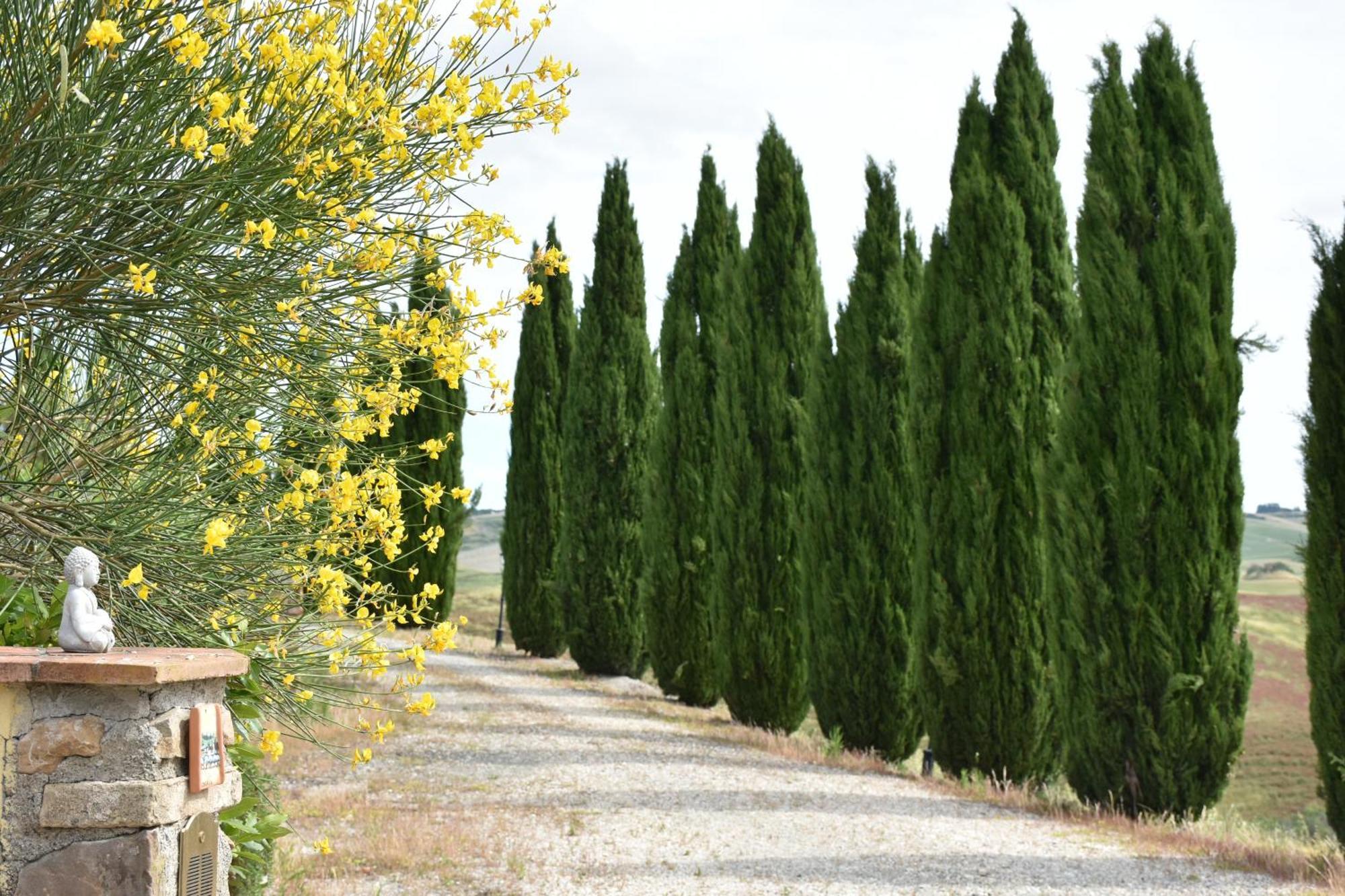 Podere Le Volpaie, Volterra, Tuscany มอนเตคาตีนี วัล ดิ เชชินา ภายนอก รูปภาพ